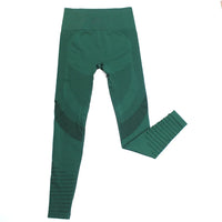 Seamless High-Waist Fitness Leggings - Women's Compression Tights for Yoga & Training