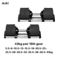 Adjustable Dumbbell Pair - Incremental Home Weights for Strength & Full-Body Workouts